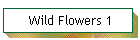 Wild Flowers 1