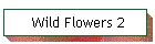 Wild Flowers 2