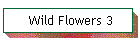 Wild Flowers 3