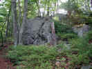 9-foot rock near pond (143KB)