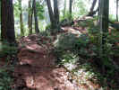 Private path approaching rocky point (142KB)