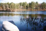 View from dock in late winter or early spring (106KB)